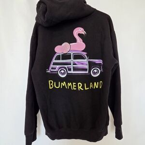 AJR Brothers Bummerland Song Flamingo Hoodie Medium